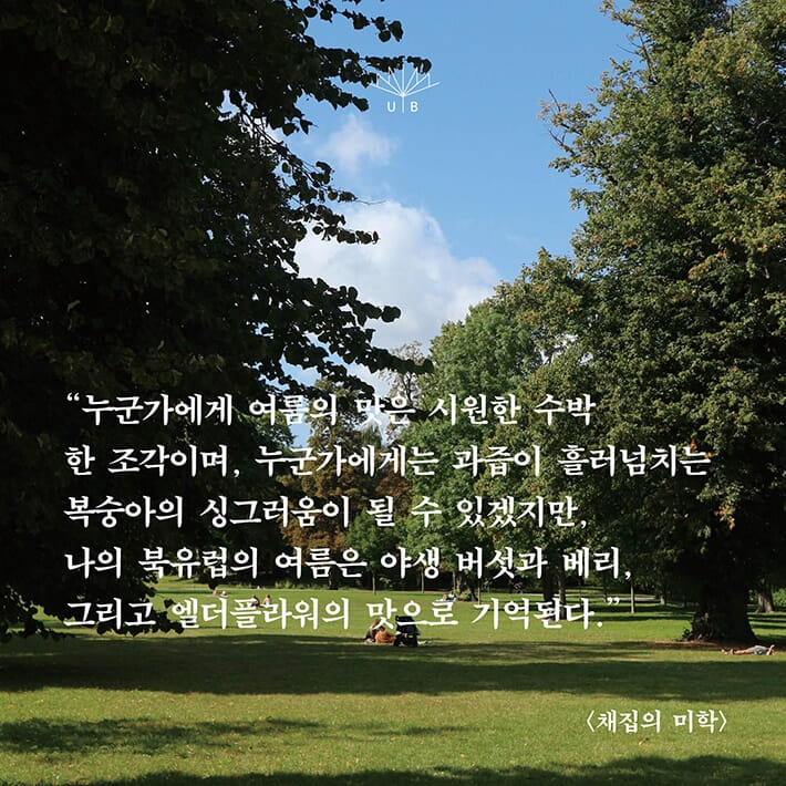 카드뉴스2