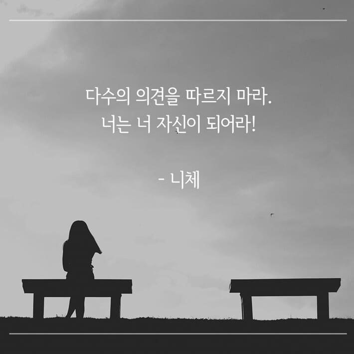 카드뉴스5