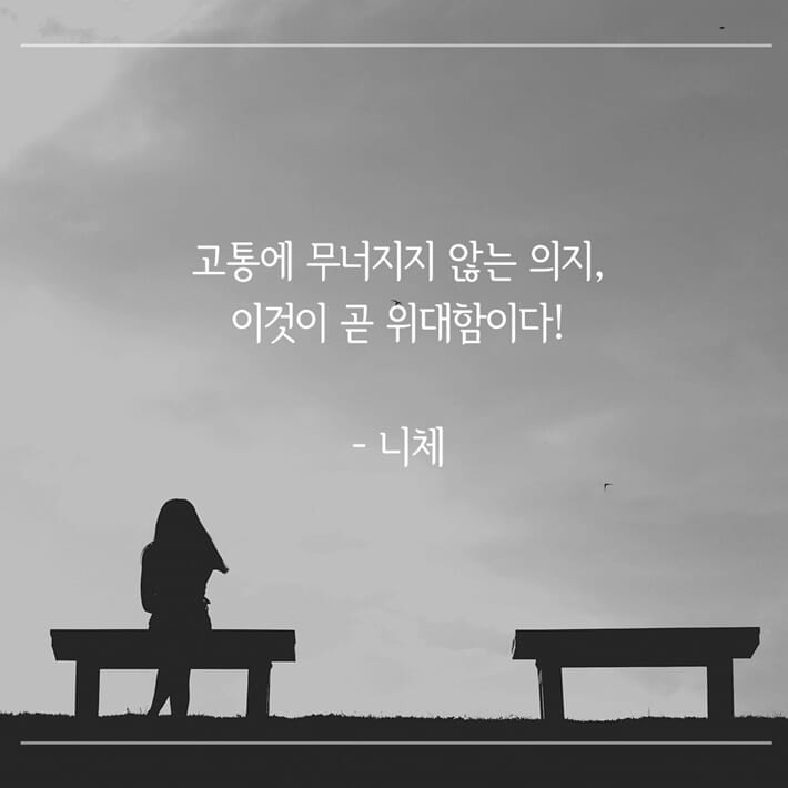 카드뉴스6