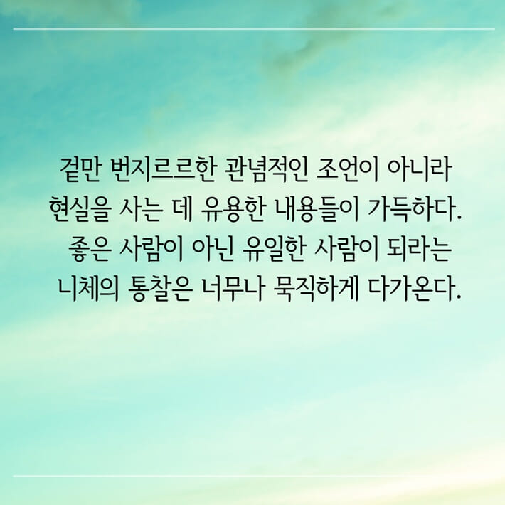카드뉴스12