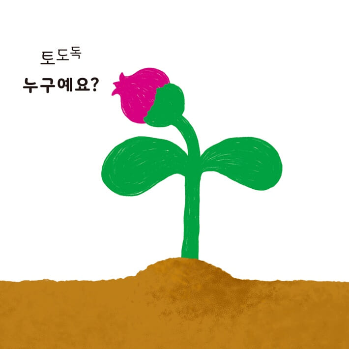 카드뉴스5