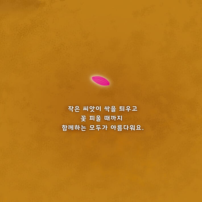 카드뉴스7