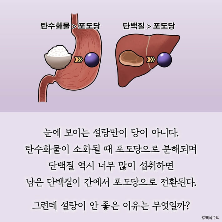 카드뉴스3