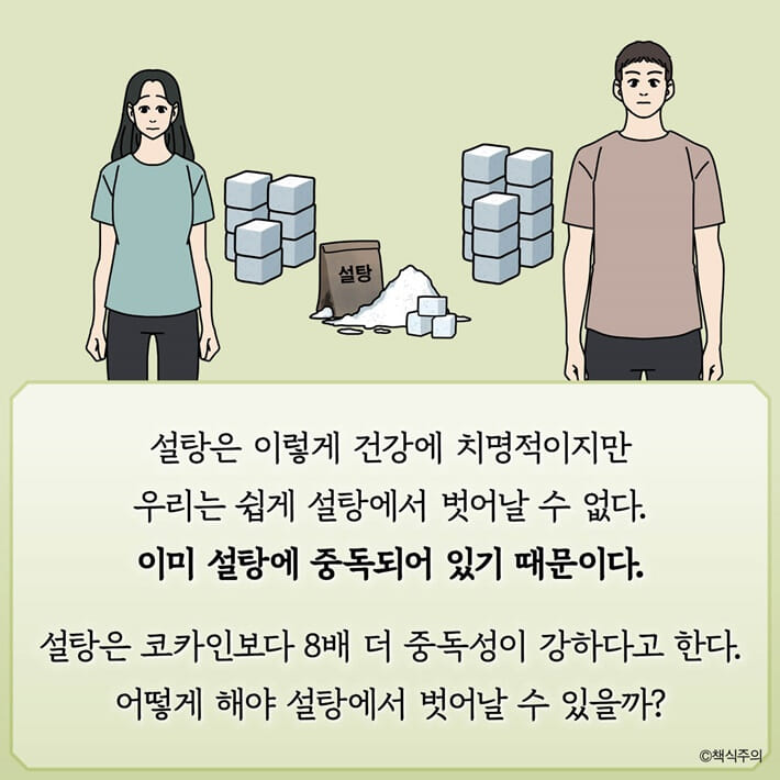 카드뉴스8