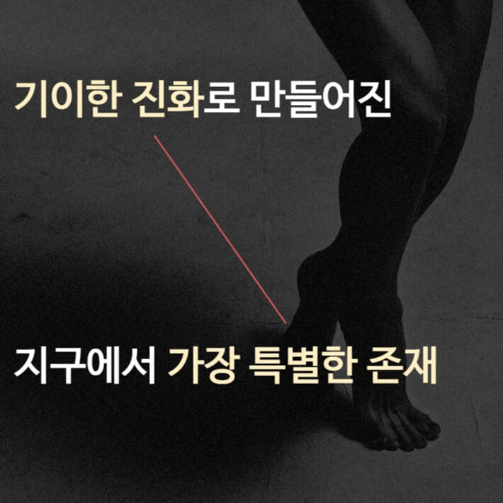 카드뉴스3