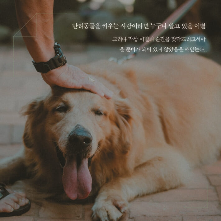 카드뉴스2