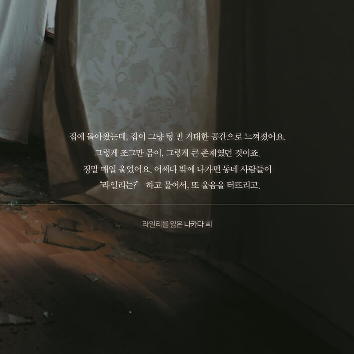 카드뉴스3