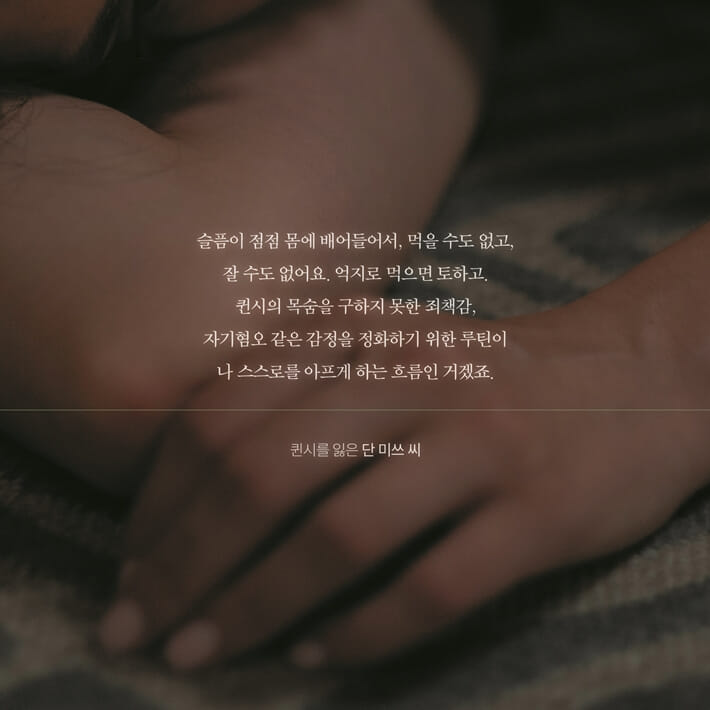 카드뉴스5