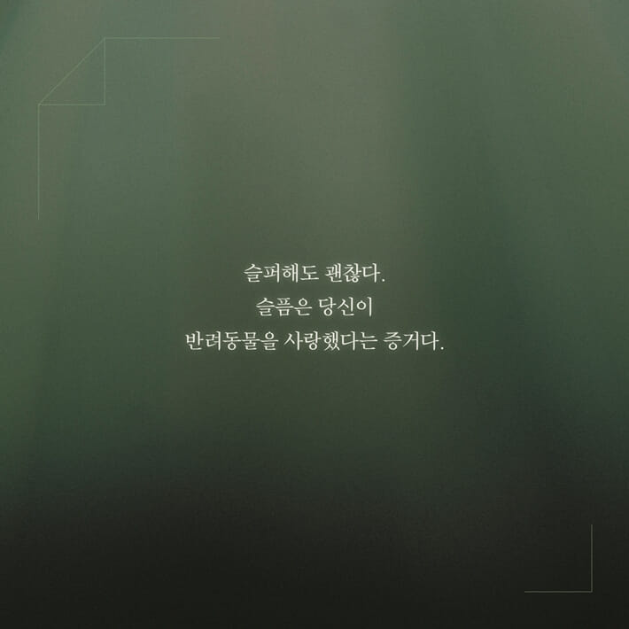 카드뉴스6
