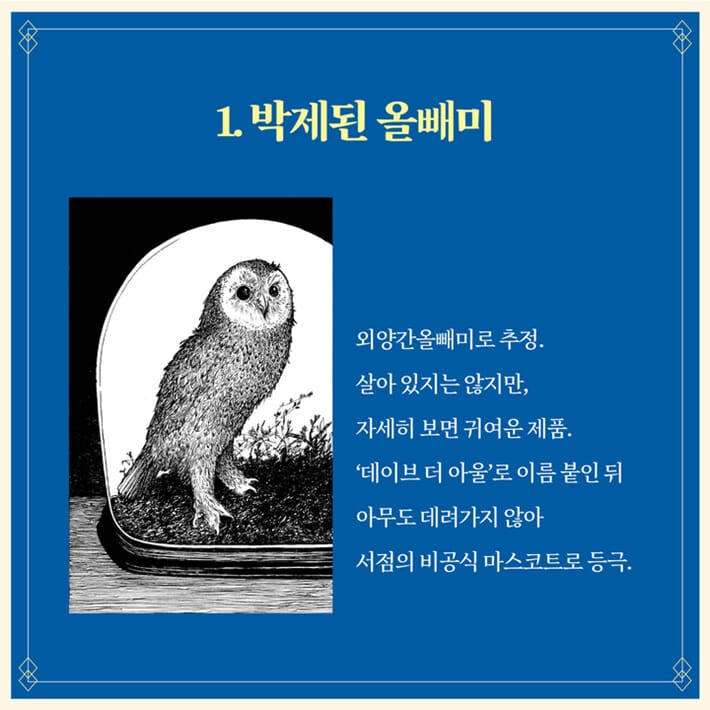카드뉴스3