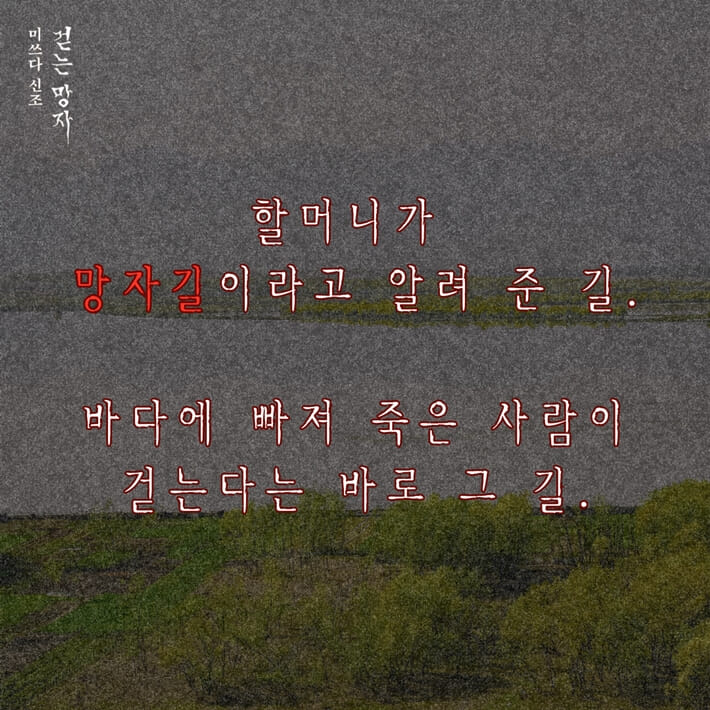 카드뉴스0