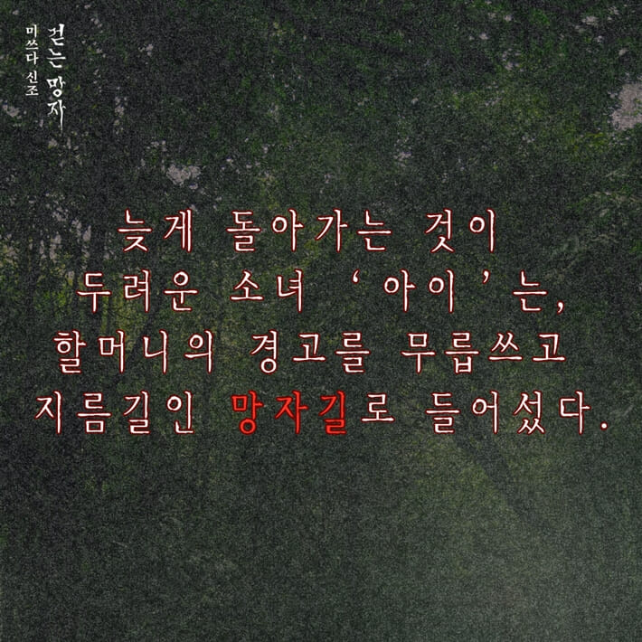 카드뉴스1