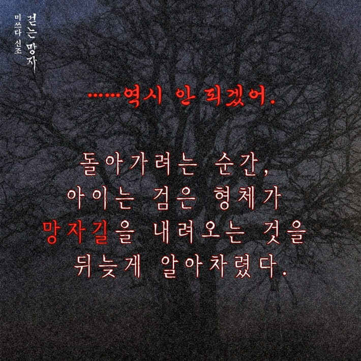 카드뉴스3