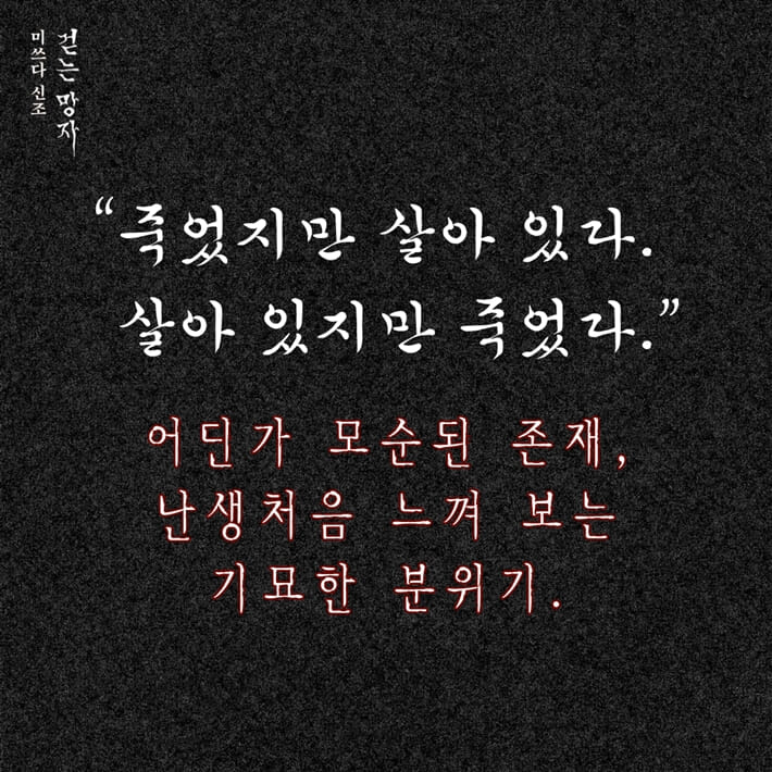 카드뉴스5