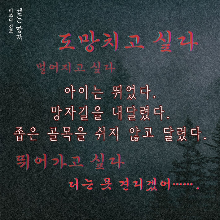 카드뉴스6