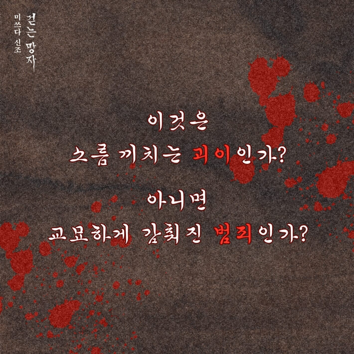 카드뉴스8