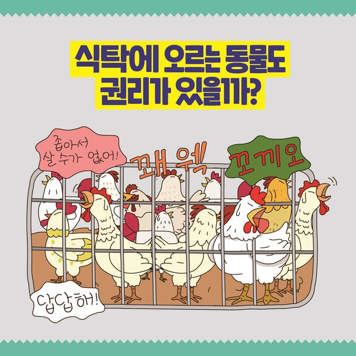 카드뉴스2
