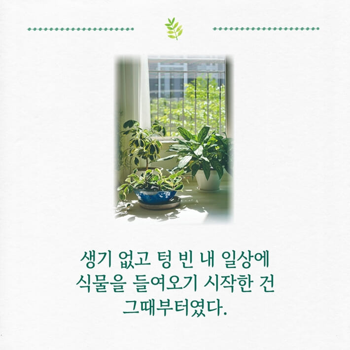 카드뉴스1