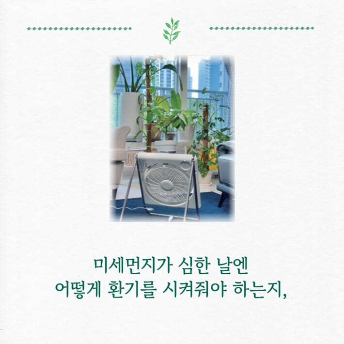 카드뉴스2