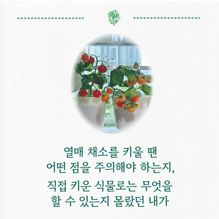 카드뉴스3