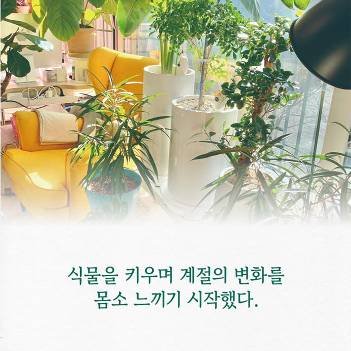 카드뉴스4