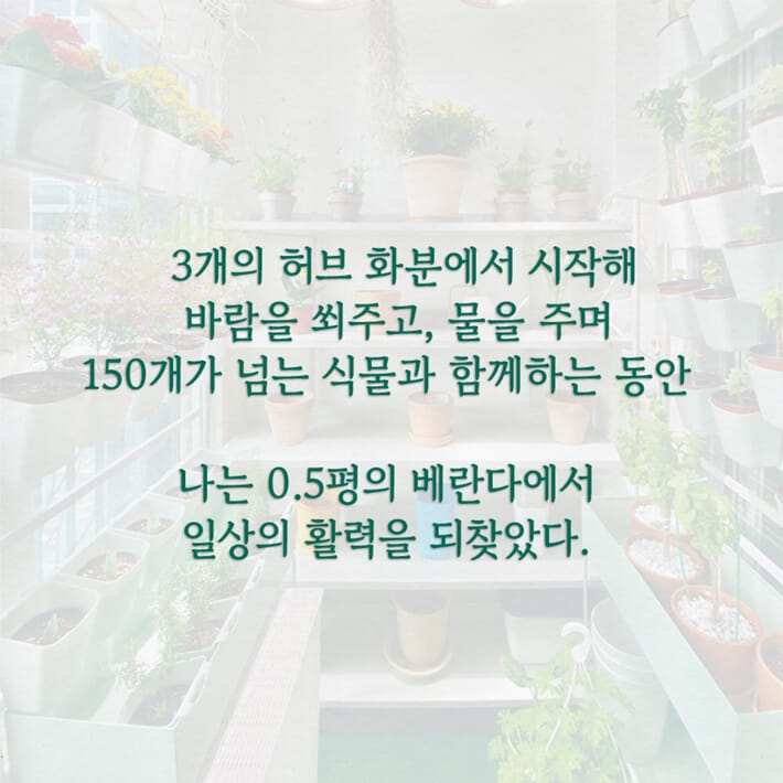 카드뉴스5