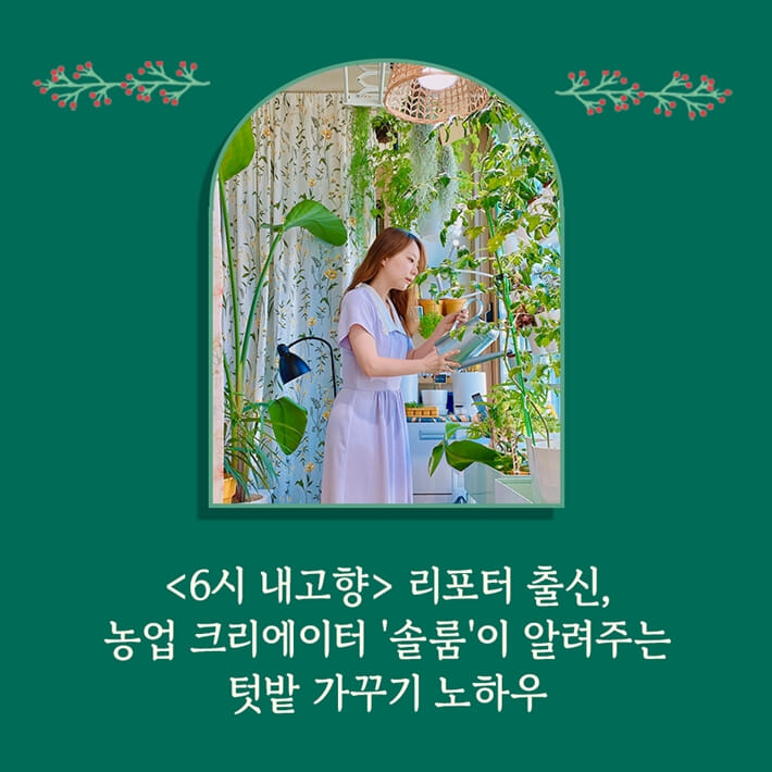 카드뉴스8