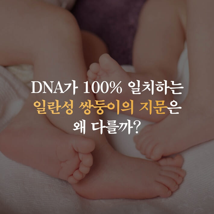 카드뉴스0