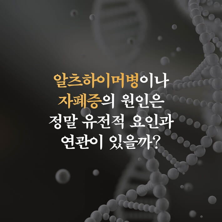 카드뉴스2