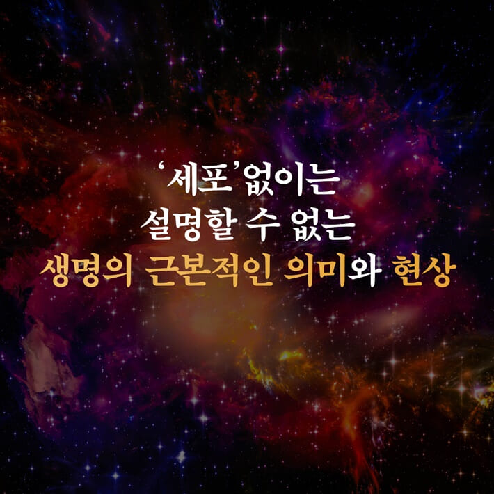 카드뉴스4