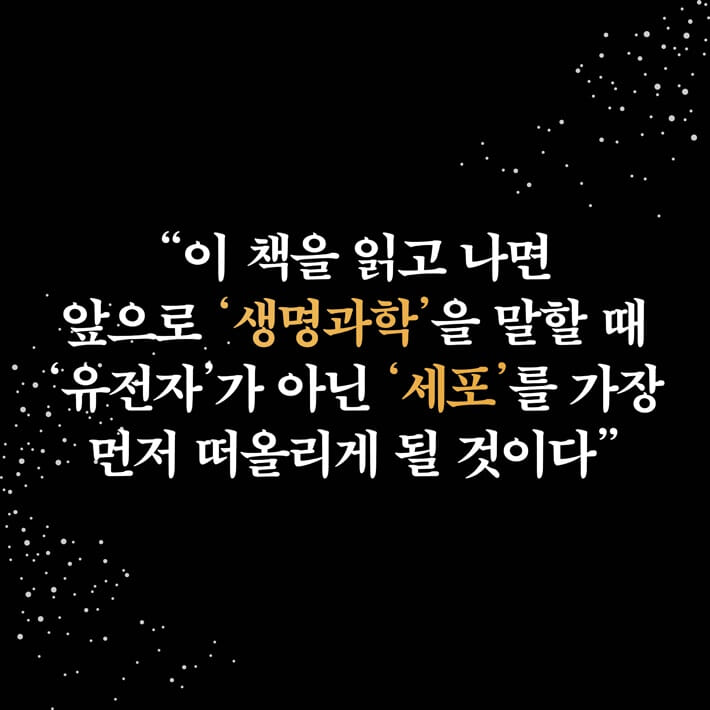카드뉴스8