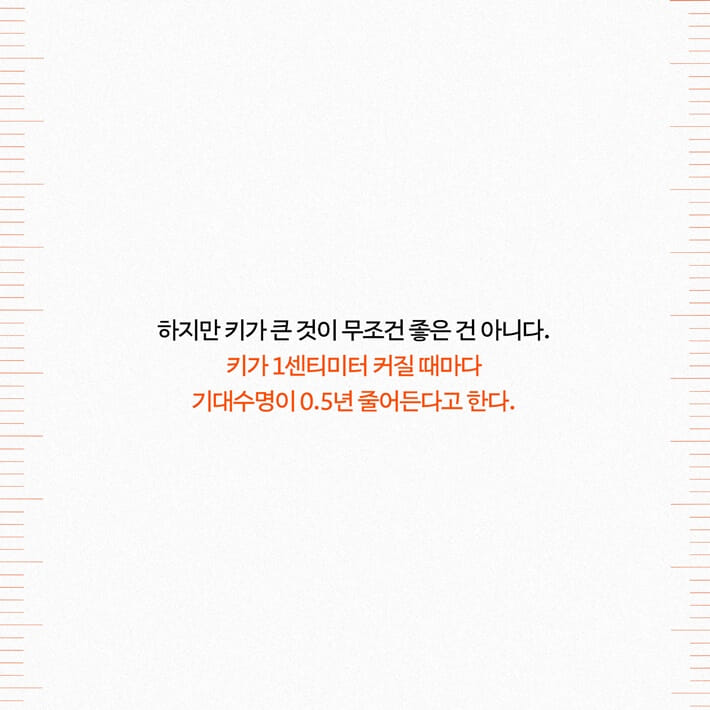 카드뉴스6
