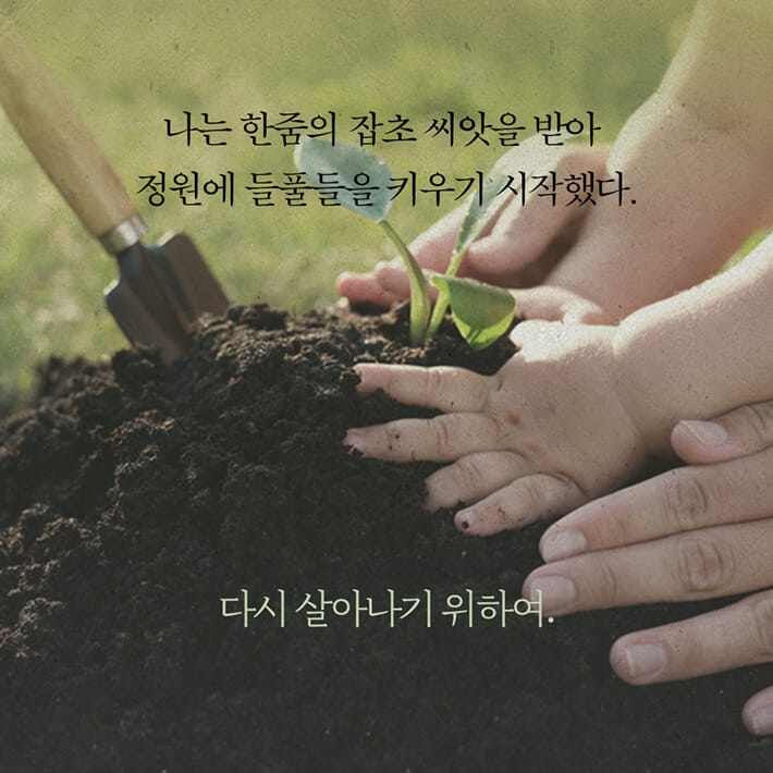 카드뉴스5
