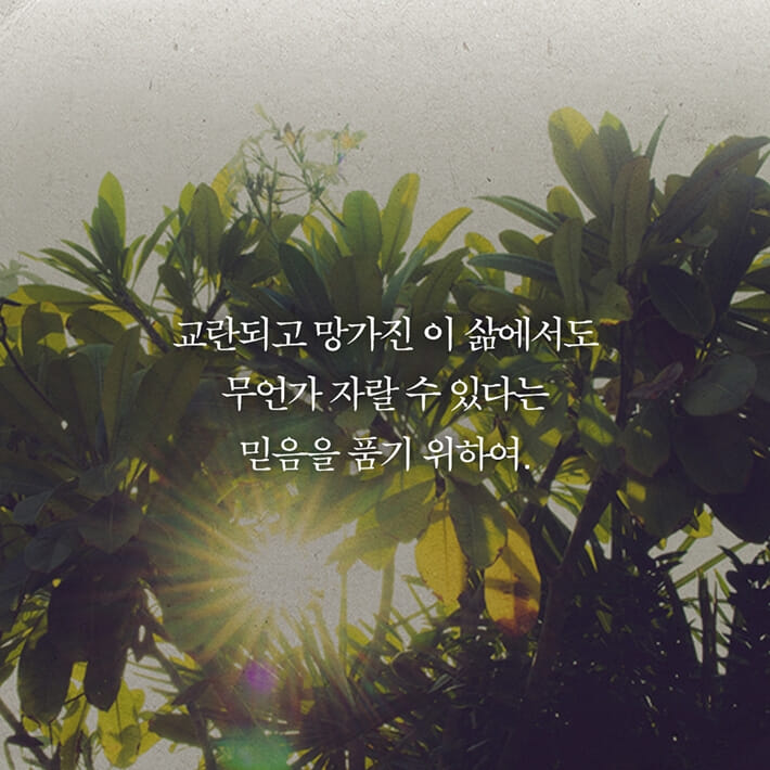 카드뉴스6