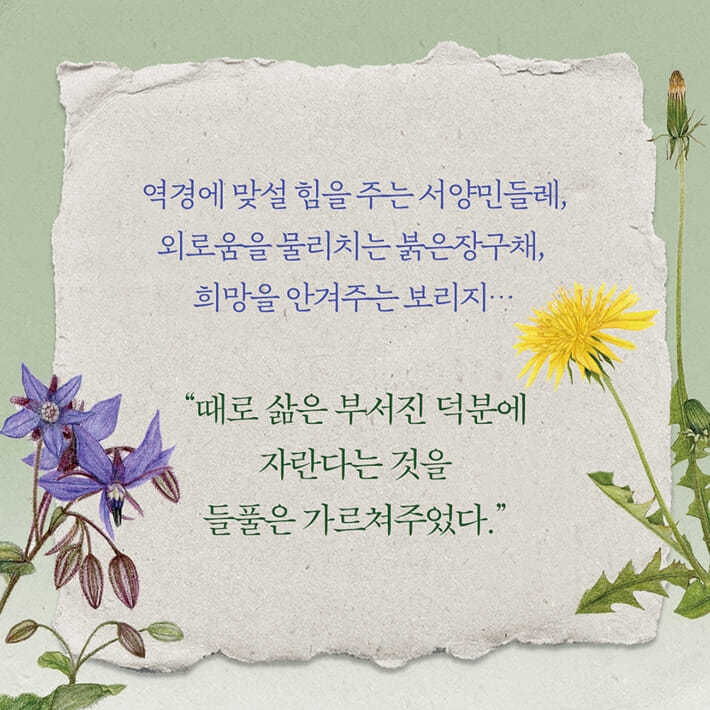 카드뉴스7