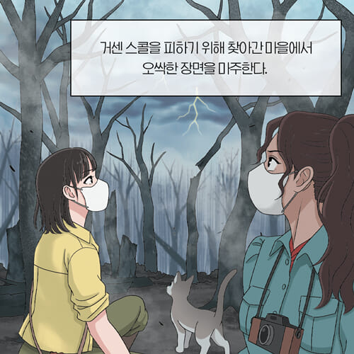 카드뉴스2
