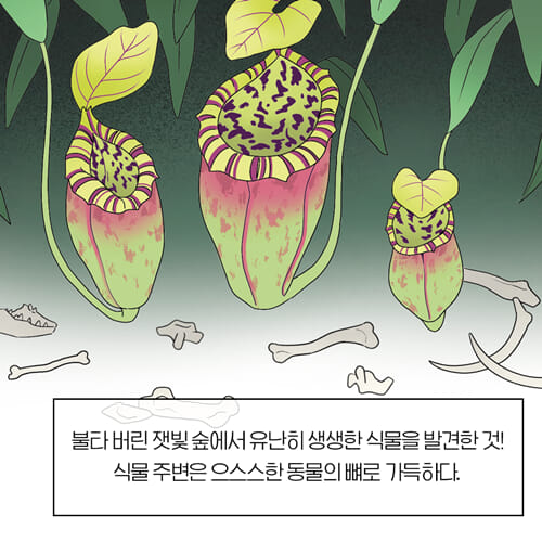 카드뉴스3