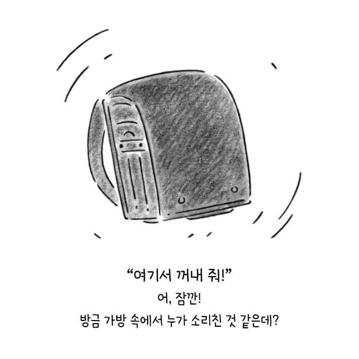 카드뉴스3