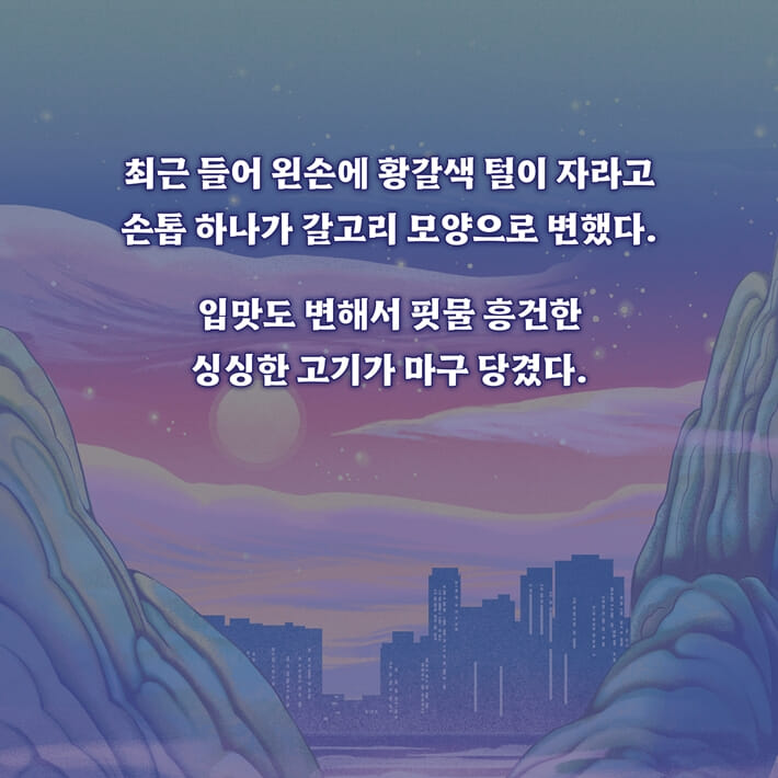카드뉴스3
