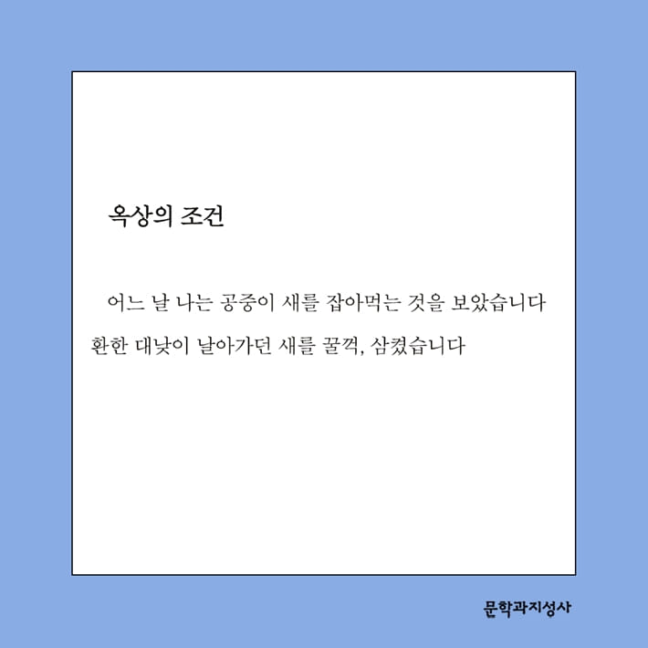 카드뉴스0