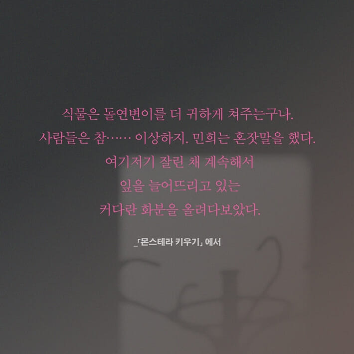 카드뉴스4