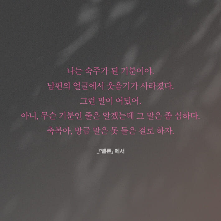 카드뉴스5