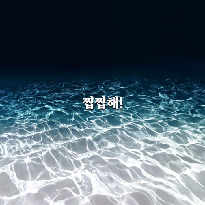 카드뉴스2
