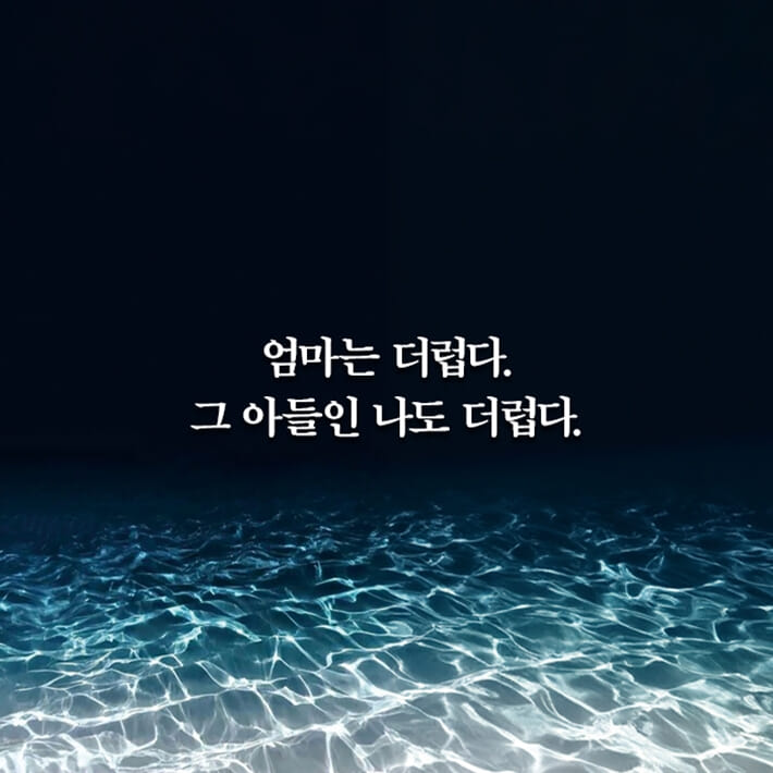 카드뉴스4