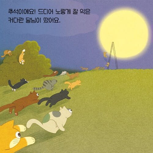 카드뉴스0
