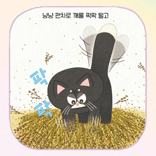 카드뉴스4