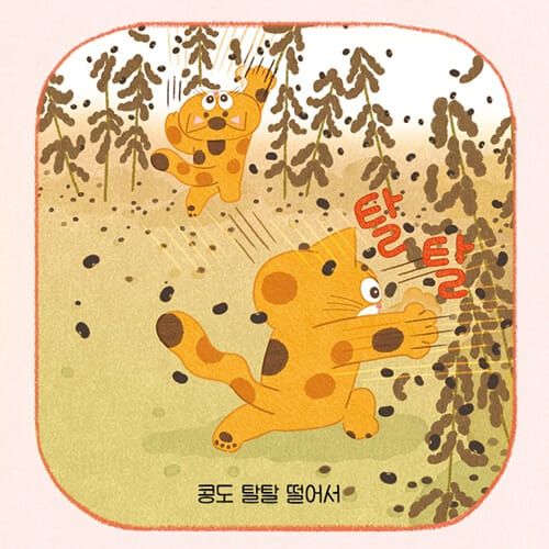 카드뉴스5