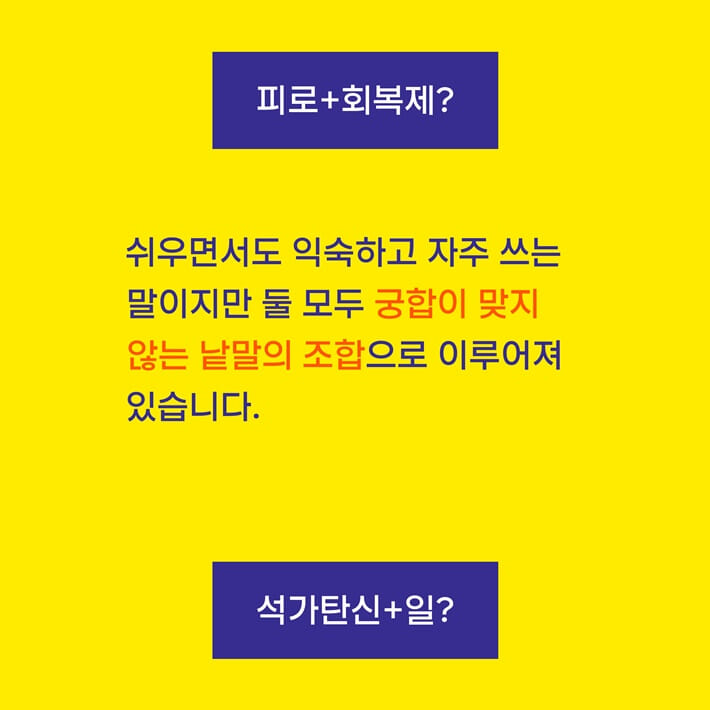 카드뉴스2