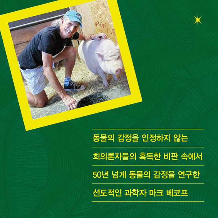 카드뉴스2