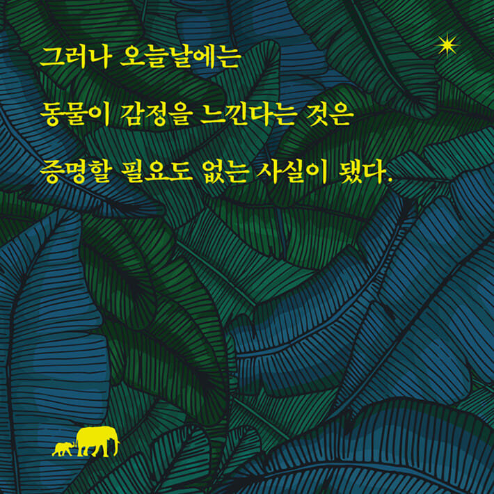 카드뉴스3